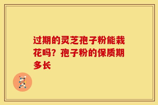 过期的灵芝孢子粉能栽花吗?孢子粉的保质期多长