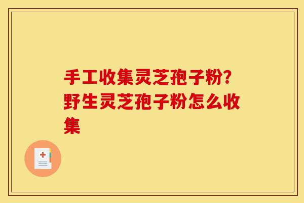 手工收集灵芝孢子粉?野生灵芝孢子粉怎么收集