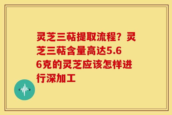 灵芝三萜提取流程?灵芝三萜含量高达5.66克的灵芝应该怎样进行深加工