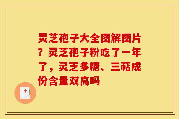 灵芝孢子大全图解图片?灵芝孢子粉吃了一年了,灵芝多糖、三萜成份含量双高吗