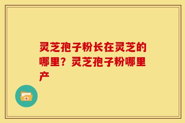灵芝孢子粉长在灵芝的哪里?灵芝孢子粉哪里产