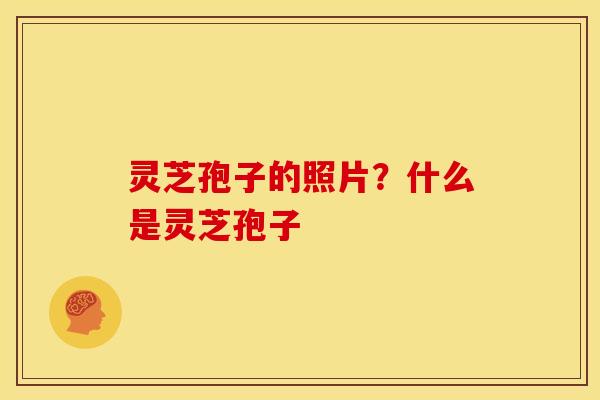 灵芝孢子的照片？什么是灵芝孢子