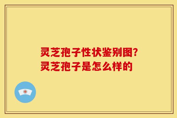 灵芝孢子性状鉴别图?灵芝孢子是怎么样的