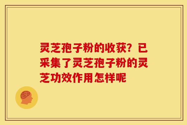 灵芝孢子粉的收获？已采集了灵芝孢子粉的灵芝功效作用怎样呢