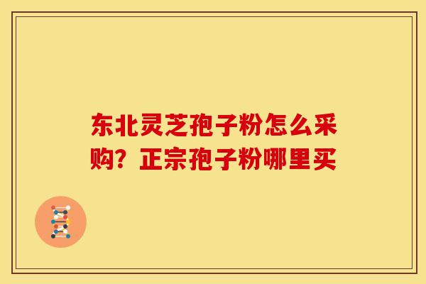 东北灵芝孢子粉怎么采购?正宗孢子粉哪里买