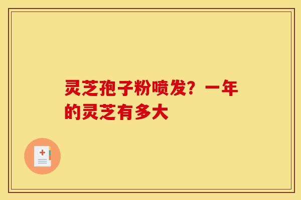 灵芝孢子粉喷发？一年的灵芝有多大