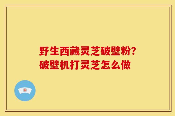野生西藏灵芝破壁粉?破壁机打灵芝怎么做