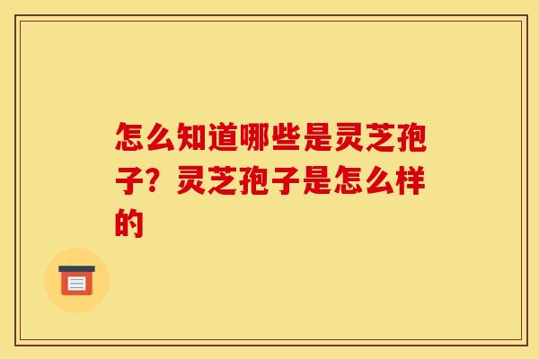 怎么知道哪些是灵芝孢子?灵芝孢子是怎么样的