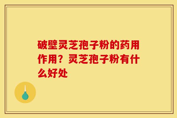 破壁灵芝孢子粉的药用作用？灵芝孢子粉有什么好处