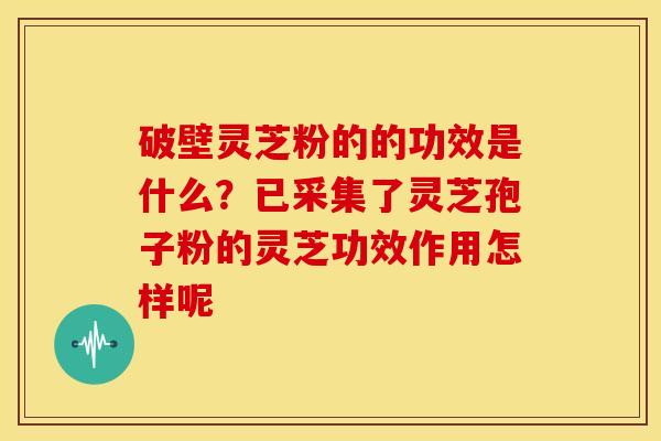 破壁灵芝粉的的功效是什么?已采集了灵芝孢子粉的灵芝功效作用怎样呢