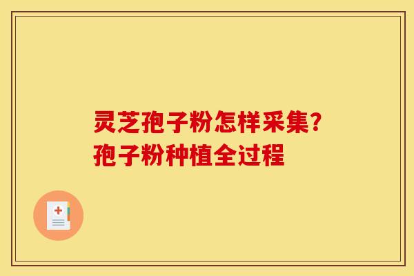灵芝孢子粉怎样采集?孢子粉种植全过程