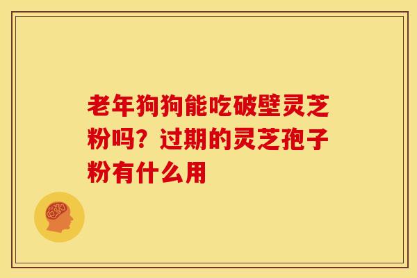 老年狗狗能吃破壁灵芝粉吗?过期的灵芝孢子粉有什么用