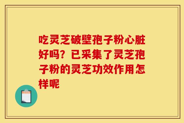 吃灵芝破壁孢子粉心脏好吗?已采集了灵芝孢子粉的灵芝功效作用怎样呢