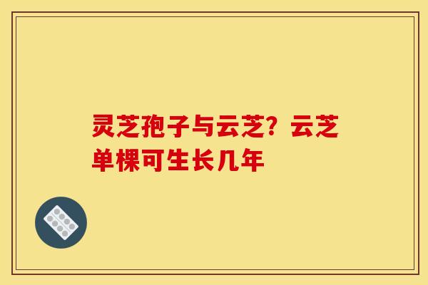 灵芝孢子与云芝？云芝单棵可生长几年