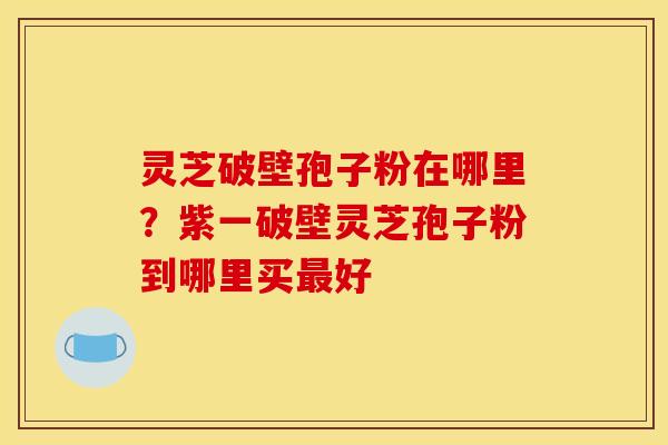 灵芝破壁孢子粉在哪里?紫一破壁灵芝孢子粉到哪里买最好