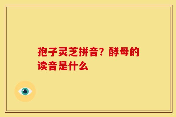 孢子灵芝拼音？酵母的读音是什么