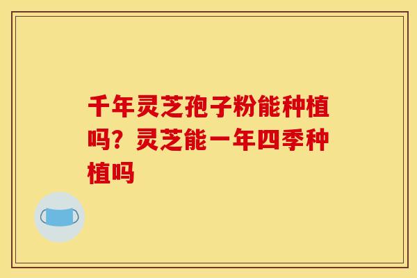 千年灵芝孢子粉能种植吗?灵芝能一年四季种植吗