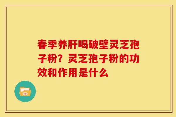 春季养肝喝破壁灵芝孢子粉?灵芝孢子粉的功效和作用是什么