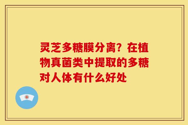 灵芝多糖膜分离?在植物真菌类中提取的多糖对人体有什么好处