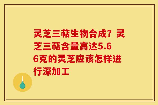 灵芝三萜生物合成？灵芝三萜含量高达5.66克的灵芝应该怎样进行深加工