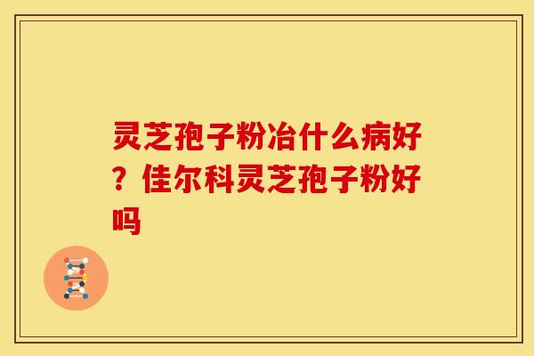 灵芝孢子粉冶什么病好？佳尔科灵芝孢子粉好吗