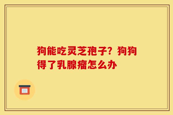 狗能吃灵芝孢子?狗狗得了乳腺瘤怎么办