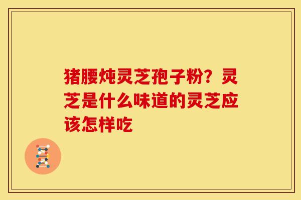 猪腰炖灵芝孢子粉？灵芝是什么味道的灵芝应该怎样吃