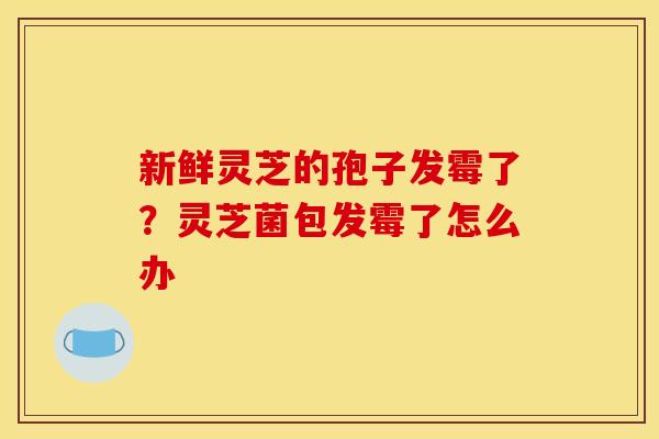 新鲜灵芝的孢子发霉了？灵芝菌包发霉了怎么办