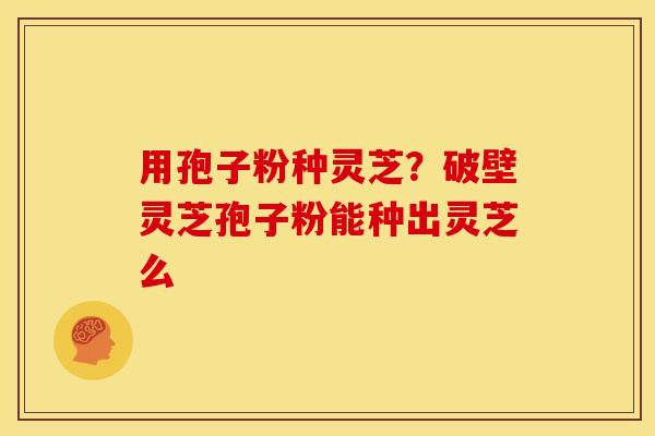 用孢子粉种灵芝?破壁灵芝孢子粉能种出灵芝么