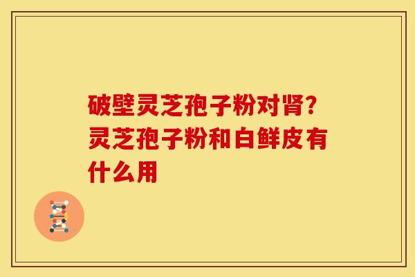 破壁灵芝孢子粉对肾？灵芝孢子粉和白鲜皮有什么用