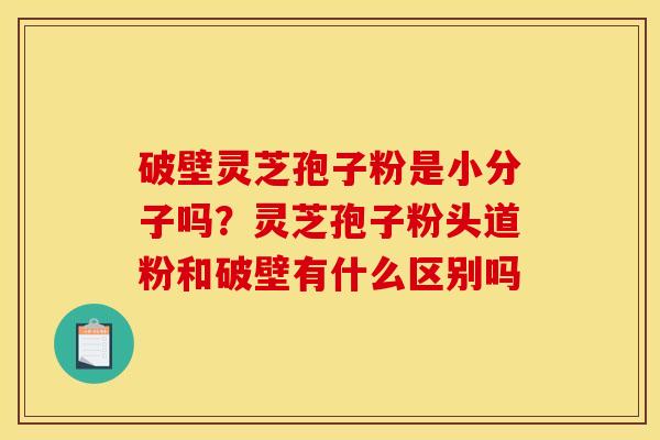 破壁灵芝孢子粉是小分子吗？灵芝孢子粉头道粉和破壁有什么区别吗