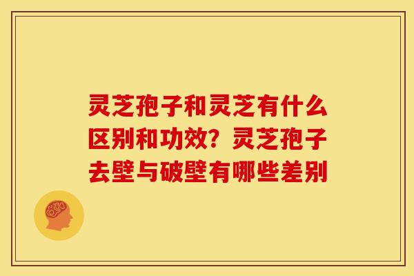 灵芝孢子和灵芝有什么区别和功效?灵芝孢子去壁与破壁有哪些差别