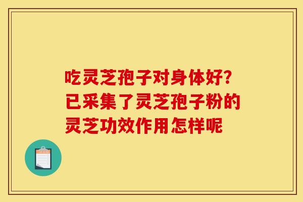 吃灵芝孢子对身体好？已采集了灵芝孢子粉的灵芝功效作用怎样呢