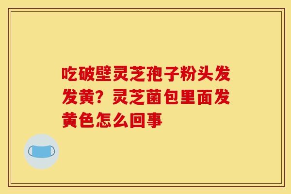吃破壁灵芝孢子粉头发发黄?灵芝菌包里面发黄色怎么回事