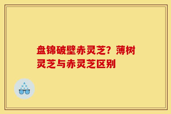盘锦破壁赤灵芝?薄树灵芝与赤灵芝区别
