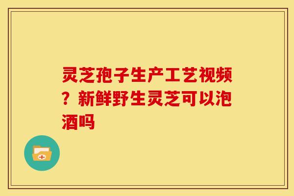 灵芝孢子生产工艺视频？新鲜野生灵芝可以泡酒吗