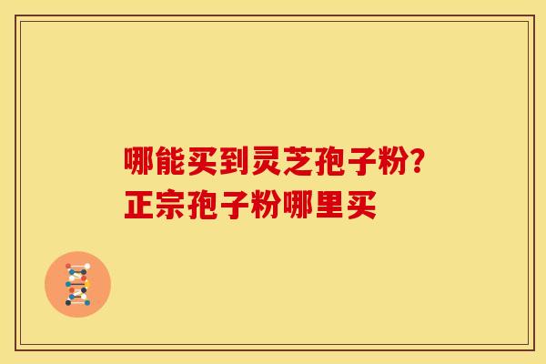 哪能买到灵芝孢子粉？正宗孢子粉哪里买