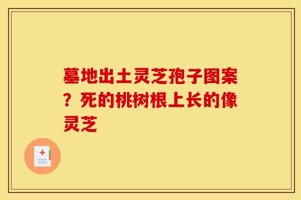墓地出土灵芝孢子图案?死的桃树根上长的像灵芝
