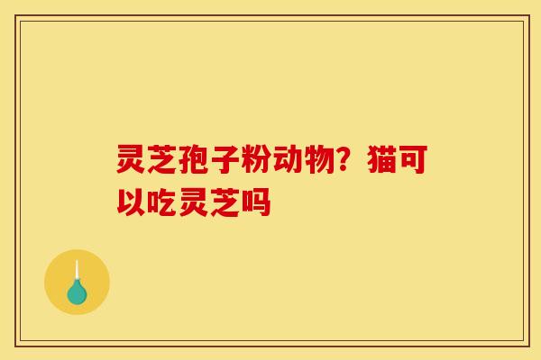 灵芝孢子粉动物？猫可以吃灵芝吗