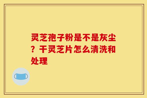 灵芝孢子粉是不是灰尘?干灵芝片怎么清洗和处理
