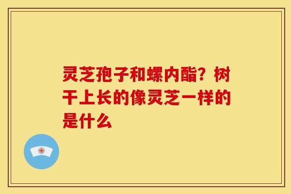 灵芝孢子和螺内酯?树干上长的像灵芝一样的是什么
