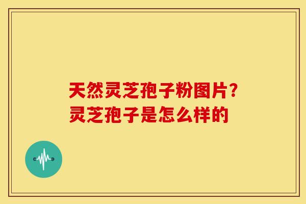 天然灵芝孢子粉图片?灵芝孢子是怎么样的
