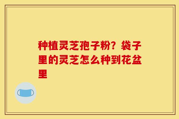 种植灵芝孢子粉?袋子里的灵芝怎么种到花盆里