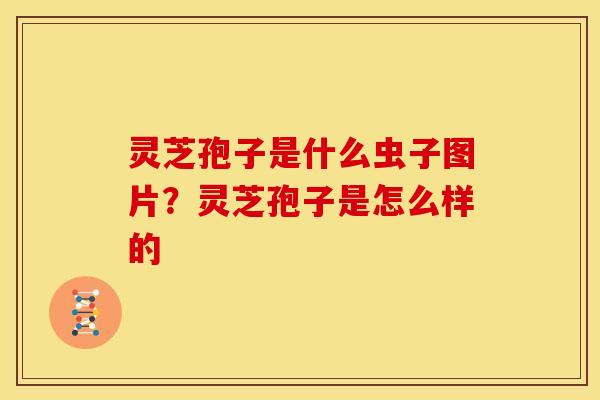 灵芝孢子是什么虫子图片?灵芝孢子是怎么样的