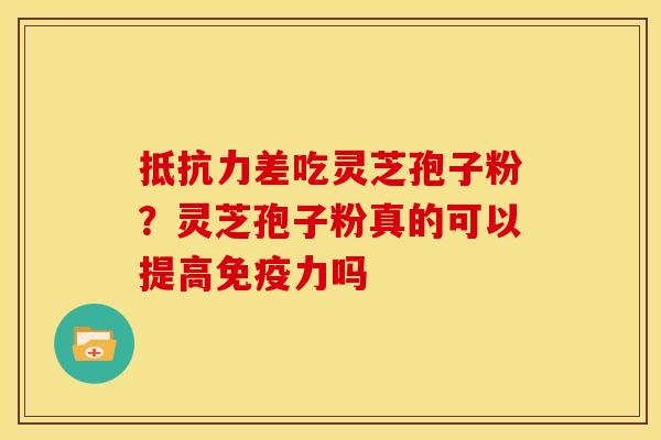 抵抗力差吃灵芝孢子粉?灵芝孢子粉真的可以提高免疫力吗