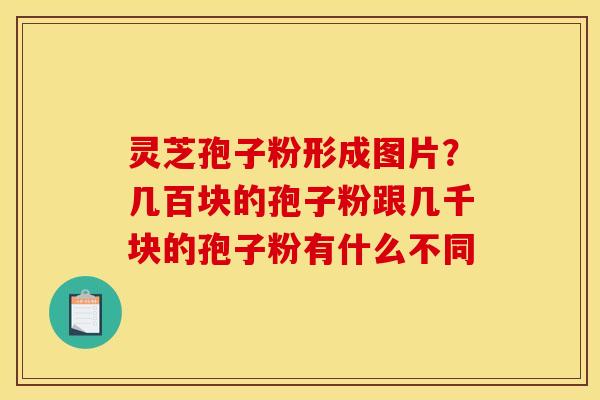 灵芝孢子粉形成图片?几百块的孢子粉跟几千块的孢子粉有什么不同