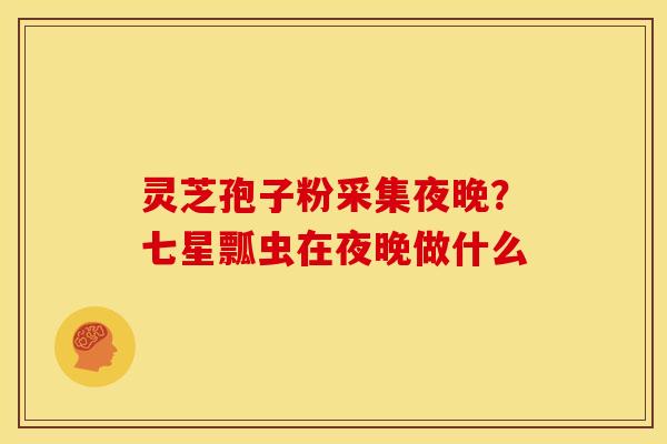 灵芝孢子粉采集夜晚?七星瓢虫在夜晚做什么