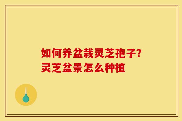 如何养盆栽灵芝孢子?灵芝盆景怎么种植
