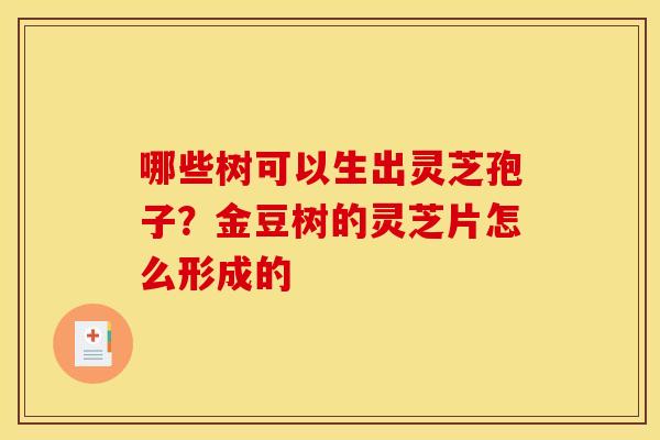 哪些树可以生出灵芝孢子?金豆树的灵芝片怎么形成的