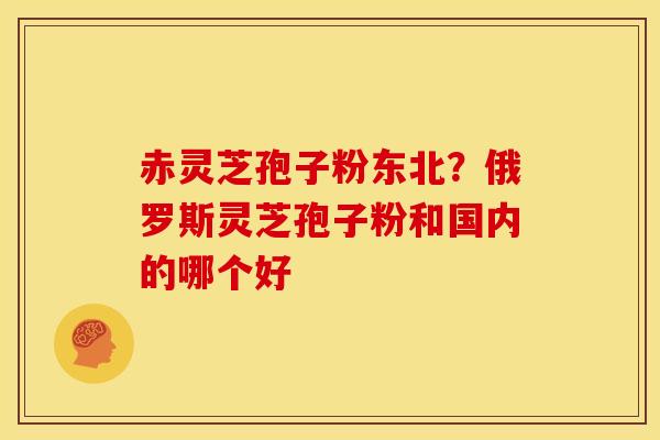 赤灵芝孢子粉东北?俄罗斯灵芝孢子粉和国内的哪个好
